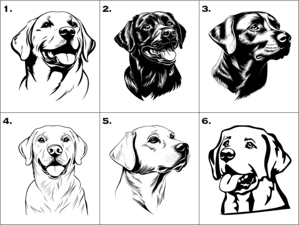 Personalized Labrador Face and Name Engraved on Glassware of your choice Whiskey, Beer Pint or Wine. Custom Gift For Dog Lovers - Image 5